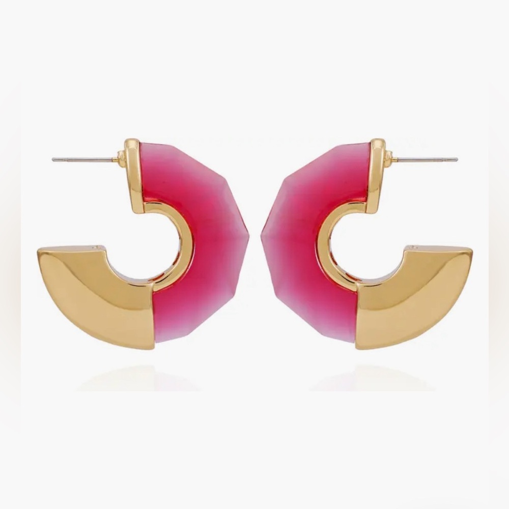 Vince Camuto Earrings Hoops